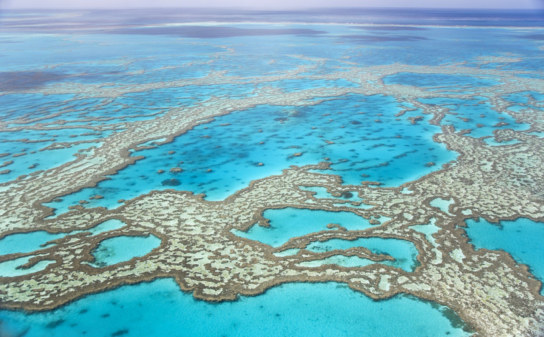 Aerial view of The Great Barrier Reef